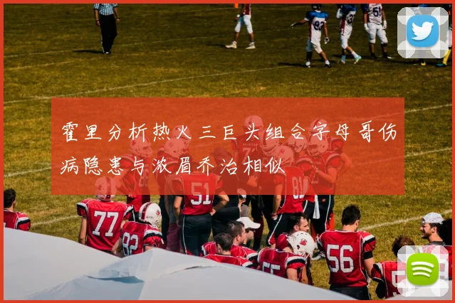 霍里分析热火三巨头组合字母哥伤病隐患与浓眉乔治相似