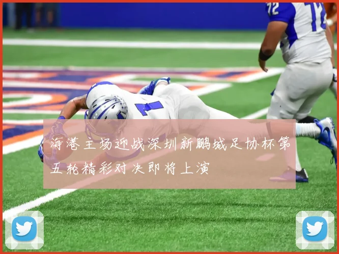 海港主场迎战深圳新鹏城足协杯第五轮精彩对决即将上演